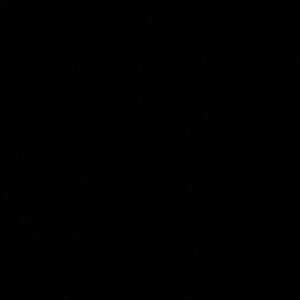 Meet your Posher, Jaden